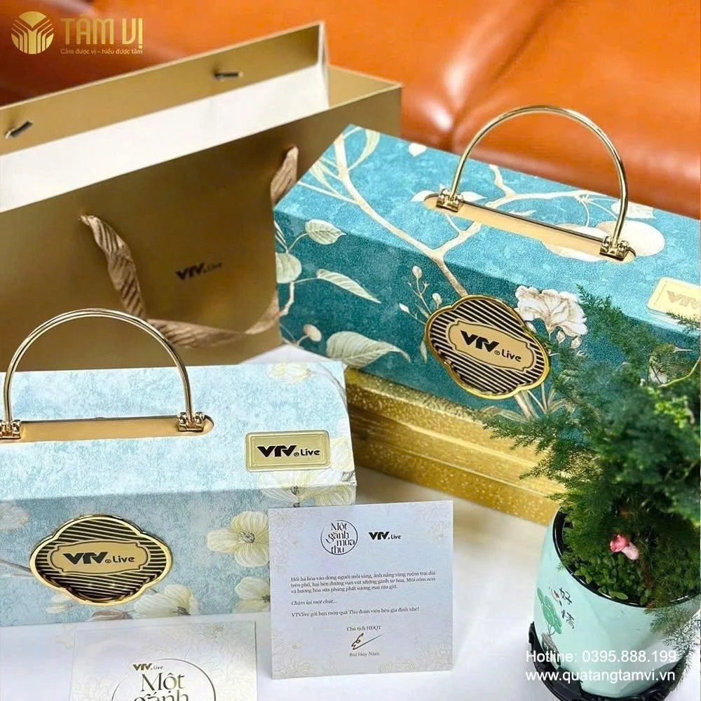 Hộp bánh trung thu VTV